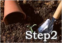 Step2